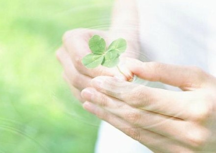 N个你从未听说过的事实
