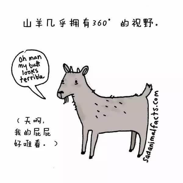 动物冷知识
