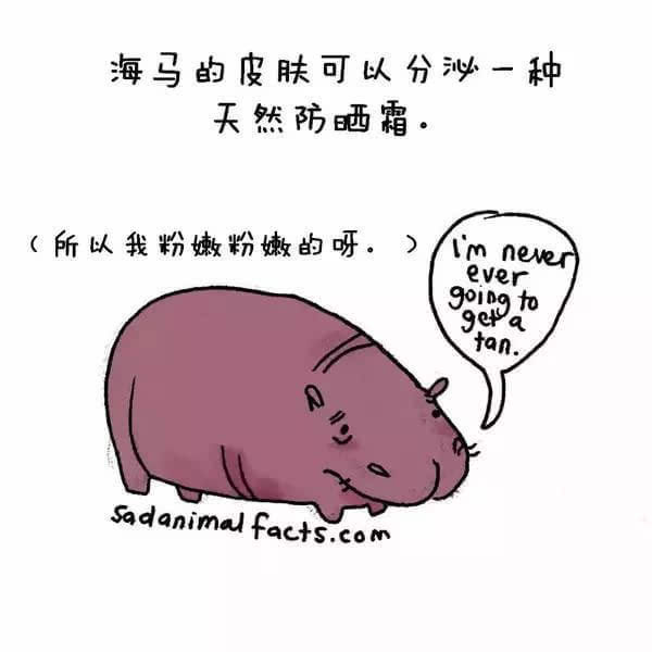 动物冷知识