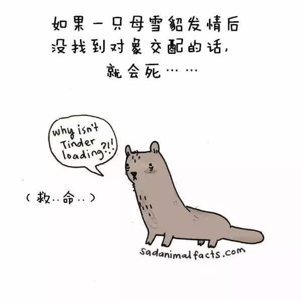 动物冷知识
