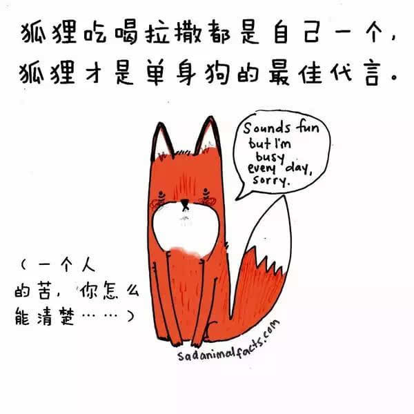 动物冷知识