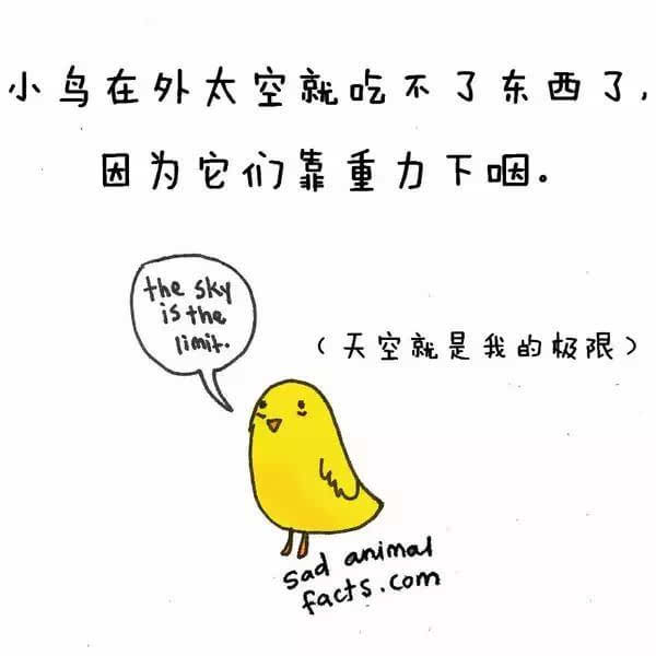 动物冷知识