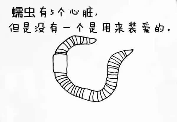 动物冷知识