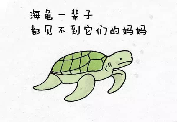 动物冷知识