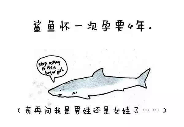 动物冷知识