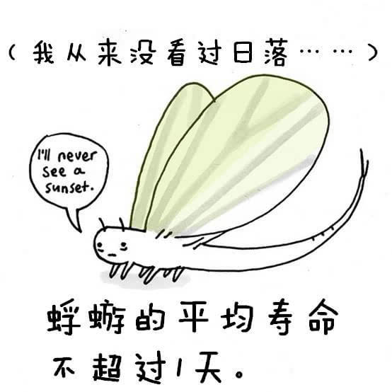 动物冷知识