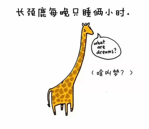 动物冷知识