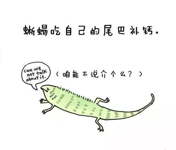 动物冷知识