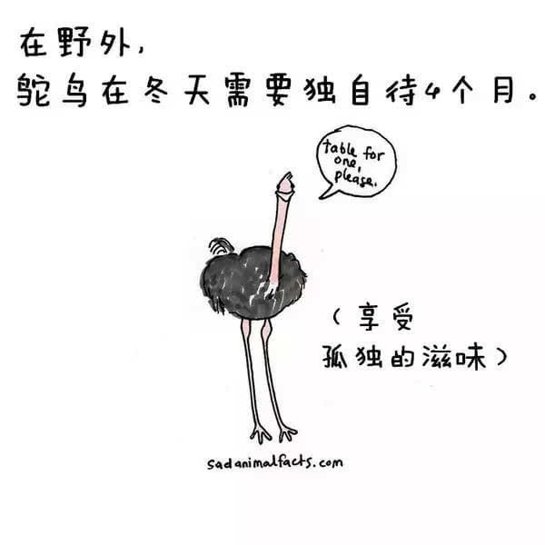 动物冷知识