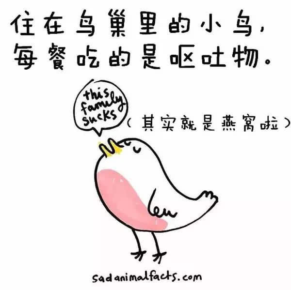 动物冷知识