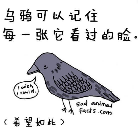 动物冷知识