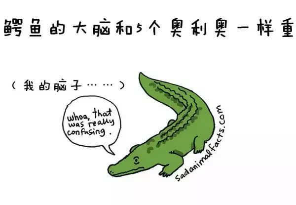 动物冷知识