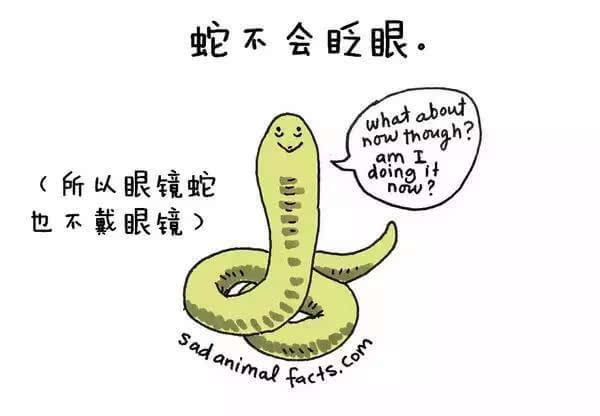 动物冷知识