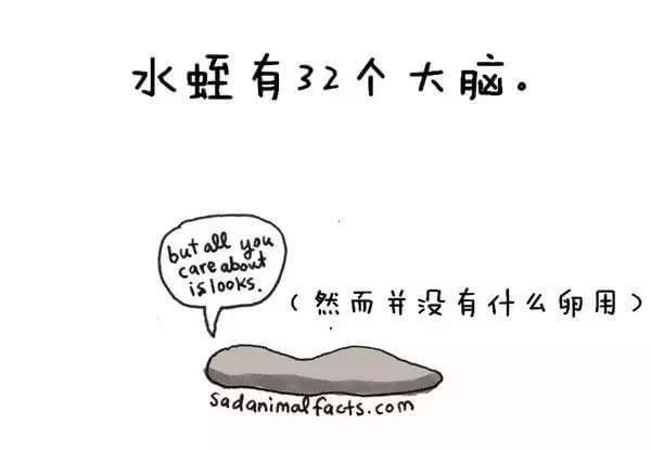 动物冷知识