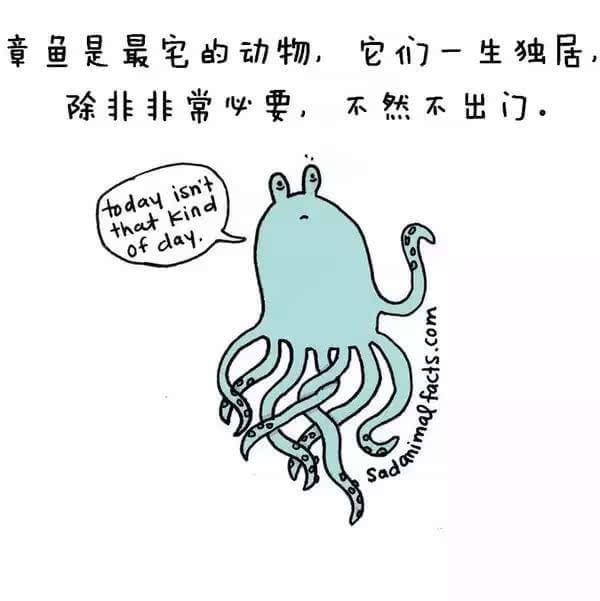动物冷知识