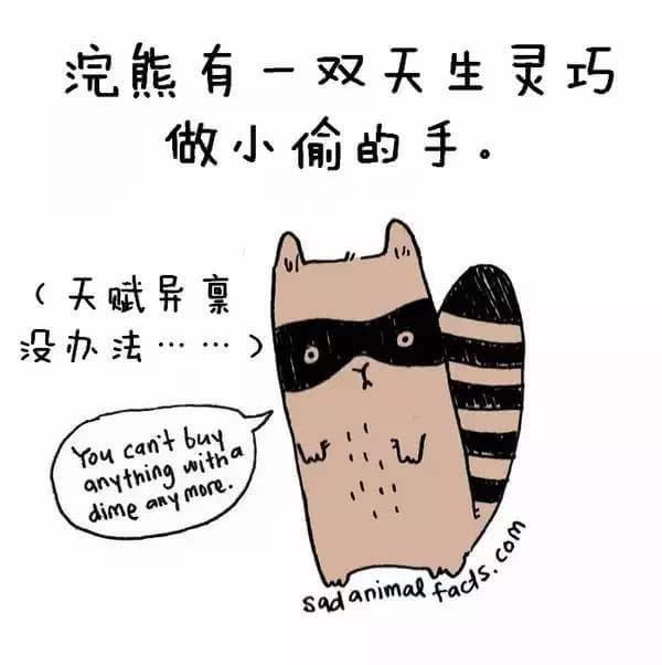 动物冷知识
