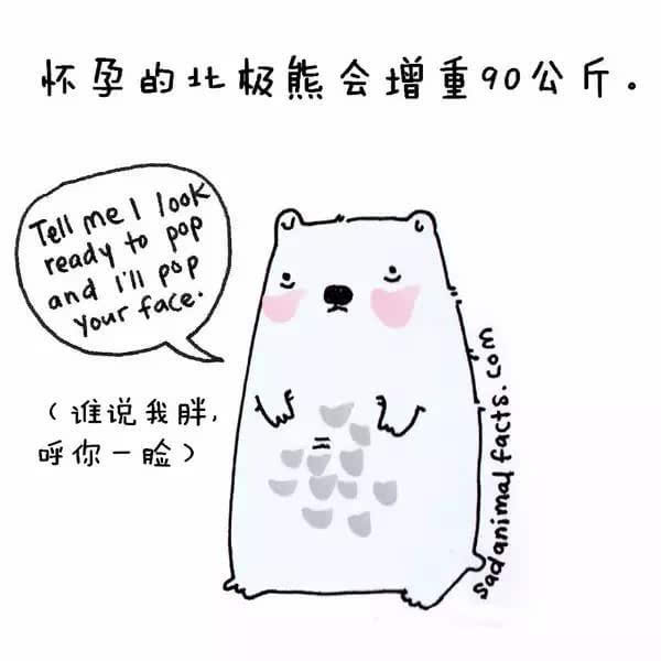 动物冷知识