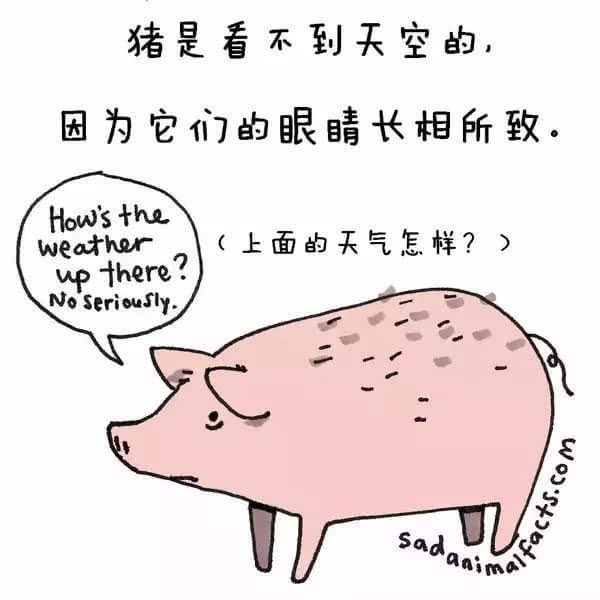 动物冷知识