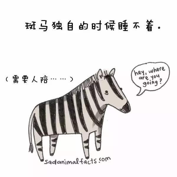 动物冷知识