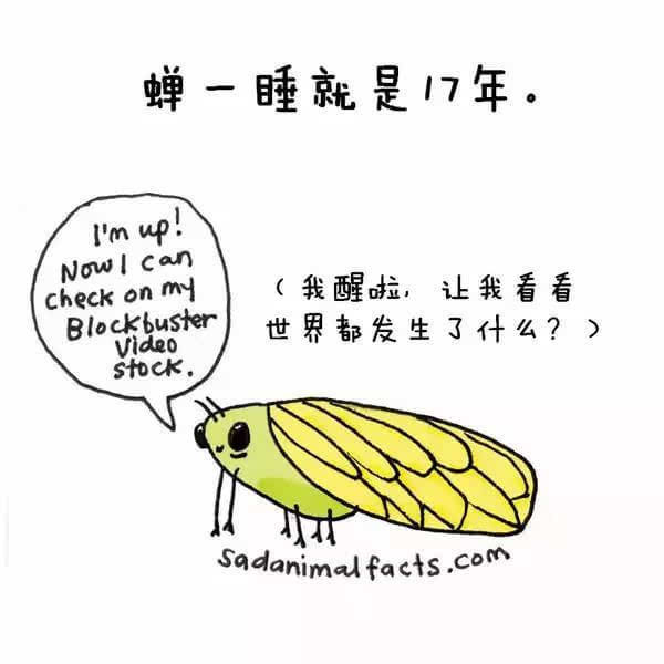 动物冷知识