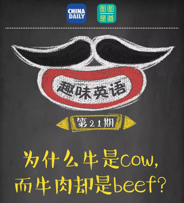 为什么牛是cow，而牛肉却是beef？