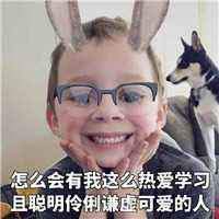 理解